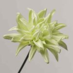 Soft pale lime green faux dahlia flower head with multi-layered petals.