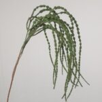 A close-up view of a realistic faux green amaranthus stem with long, cascading, textured beaded fronds draped elegantly against a light gray studio background.