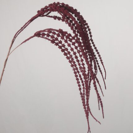 A detailed close-up shot of a deep burgundy artificial hanging amaranthus plant stem with elegant, textured cascading fronds gracefully arching against a plain background.