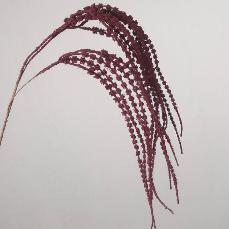 A detailed close-up shot of a deep burgundy artificial hanging amaranthus plant stem with elegant, textured cascading fronds gracefully arching against a plain background.