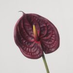 A single stem of a deep burgundy artificial anthurium flower, featuring a rich, dark red spathe and a contrasting yellow spadix.