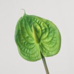 A single stem of a vibrant, all-green artificial anthurium flower, featuring a textured green spathe and spadix.