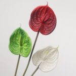A grouping of three artificial anthurium flower stems in red, green, and white, shown together against a plain light background.