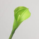 A close-up photograph of an unusual, solid green artificial calla lily flower single stem with a matching light green spadix against a neutral background.