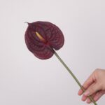 A vibrant, single artificial true red anthurium flower stem, showcasing its iconic waxy heart shape and red spadix.