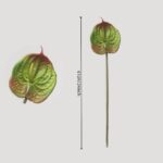 An infographic view of a single bi-color artificial anthurium stem (green with red tips) with a vertical line indicating a height of 61cm / 24inch, plus a zoomed circular detail.