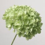 NB8Floral sage green artificial hydrangea bloom, a unique earthy-toned silk flower for organic home styling.