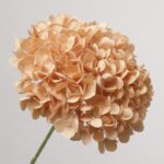 Vintage-inspired champagne peach artificial hydrangea from NB8Floral, featuring warm, muted silk petals.
