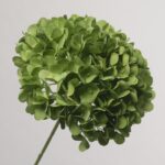 NB8Floral realistic olive green artificial hydrangea showing naturalistic earthy green silk petals.