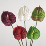 A grouping of three artificial anthurium flower stems in red, green, and white, shown together against a plain light background.