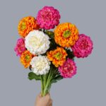 A side-by-side display of NB8Floral orange and white faux Dahlias showing realistic petal textures and stems.