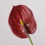 Real touch artificial red anthurium flower stem with textured yellow spadix for tropical home decor.