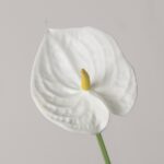 Single stem artificial white anthurium flower with a yellow spadix on a clean minimal background.