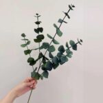 Real Touch Eucalyptus - ZX2008 artificial flower - view 3