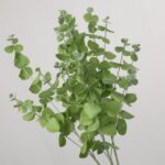 A dense bundle of artificial green eucalyptus stems showing realistic volume for home vase arrangements.