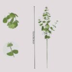 Faux eucalyptus stem size guide showing 72cm length with circular close-ups of detailed green leaves.