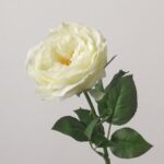 Three elegant cream-white artificial Austin roses with detailed, multi-layered blooming petals and green leaves on realistic stems.