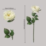 Size chart for a single cream-white artificial rose stem, indicating a height of 61cm (24.01 inches) and a flower head diameter of 10cm (3.93 inches).