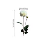White flower with green leaves and dimensions on a white background