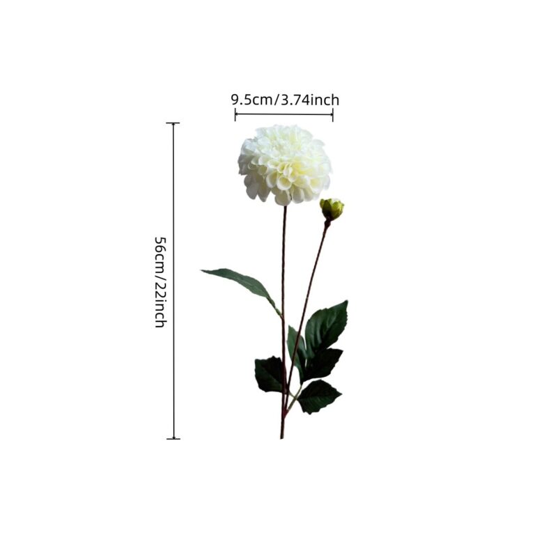 White flower with green leaves and dimensions on a white background