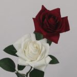 A pair of realistic artificial roses: one deep dark red (maroon) blooming rose head positioned above one creamy white blooming rose head, both with realistic green leaves on a stem, against a plain gray background.