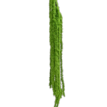 Green silk hanging millet flower (YY2005)