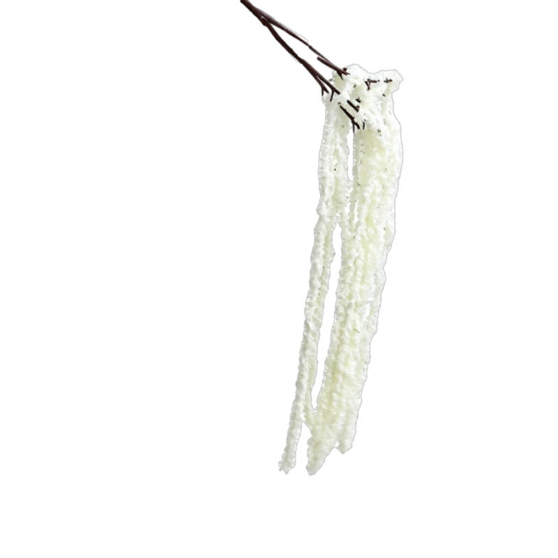 Burgundy silk hanging millet YY2005