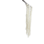 White silk-hanging millet on white background