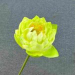Close-up of a vibrant green artificial lotus flower, Silk-Lotus-HH6008