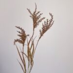Dried silk reed arrangement featuring wispy, elegant sprays for natural home decor