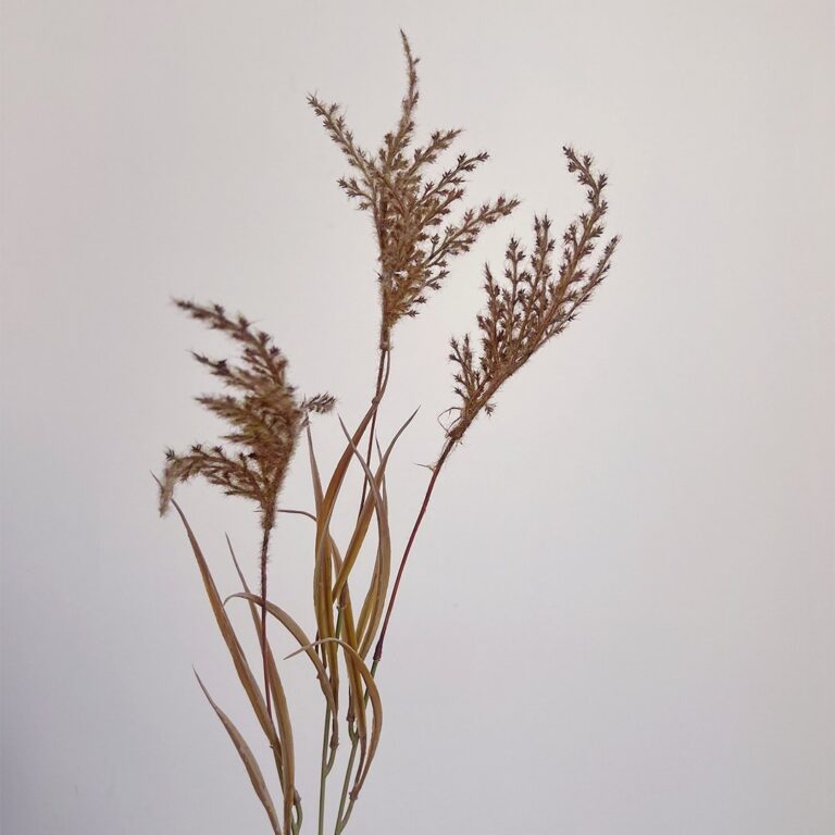 Dried silk reed arrangement featuring wispy, elegant sprays for natural home decor