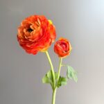 Silk ranunculus (2 heads) AHHY5004 in caramel orange