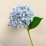 3D Silk Hydrangea - TJXH8005 artificial flower in cool ice blue
