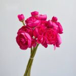Silk ranunculus bouquet AHHY9008 in deep pink