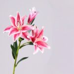 PVC faux lily bouquet with three pink heads for realistic home decor.
