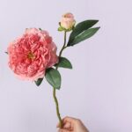 Realistic silk peony stems with multiple blooms for floral arrangements.