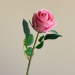 Realistic artificial rose bloom on a stem, perfect faux flowers for wedding or home decor accents.