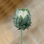 Realistic Flocking-King Protea bud, perfect artificial flowers for wedding centerpieces or home decor.