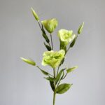 Artificial silk Platycodon flower bunch featuring realistic pale green blooms and buds.