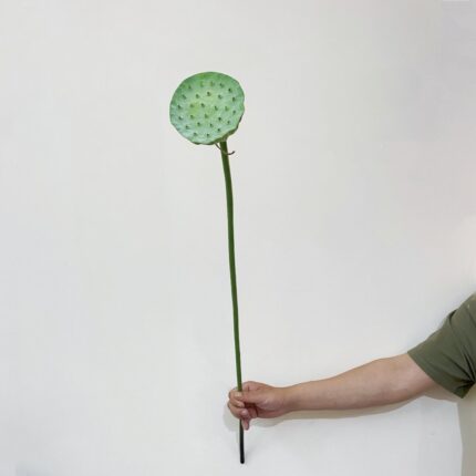 Hand holding fresh green lotus leaf on a stem for natural floral arrangements