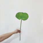 Hand holding realistic artificial green lotus leaf decoration prop.