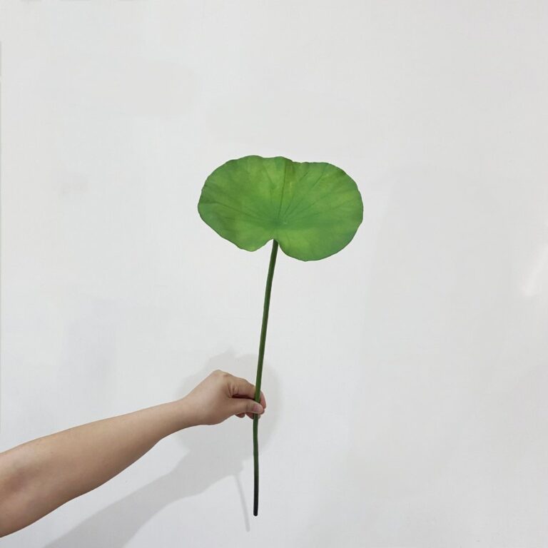 Hand holding realistic artificial green lotus leaf decoration prop.