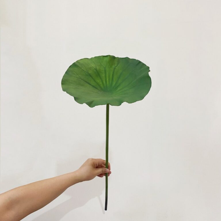 Hand holding artificial real touch green lotus leaf decoration on a stem against white background.