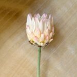 Realistic King Protea artificial flower on a faux flower stem, perfect for weddings or decor