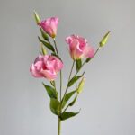 Pink silk Platycodon flowers arrangement featuring open blooms and realistic buds on green stems.