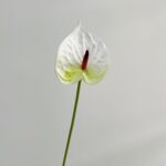 Realistic white Anthurium flower artificial floral accent perfect for home or wedding decor.