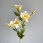Artificial silk Platycodon flowers in creamy yellow tones on a floral stem display