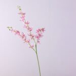Artificial pink silk Vanda orchid arrangement, ideal for everlasting home floral decor.