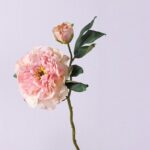 Silk artificial peony flower arrangement with green leaves and buds