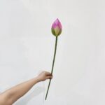 Silk lotus flower bud, product ZZHY5000, held in hand against a plain white background.